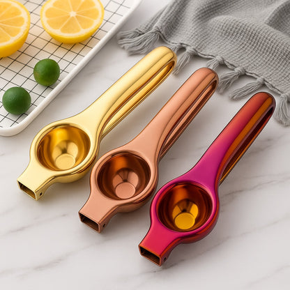 Manual Stainless Steel Citrus Juicer