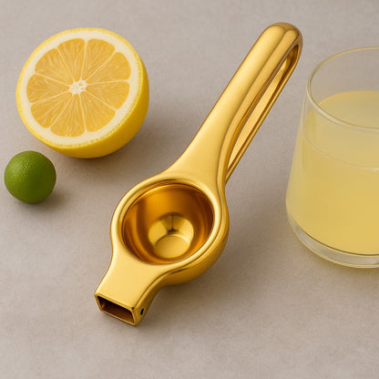 Manual Stainless Steel Citrus Juicer